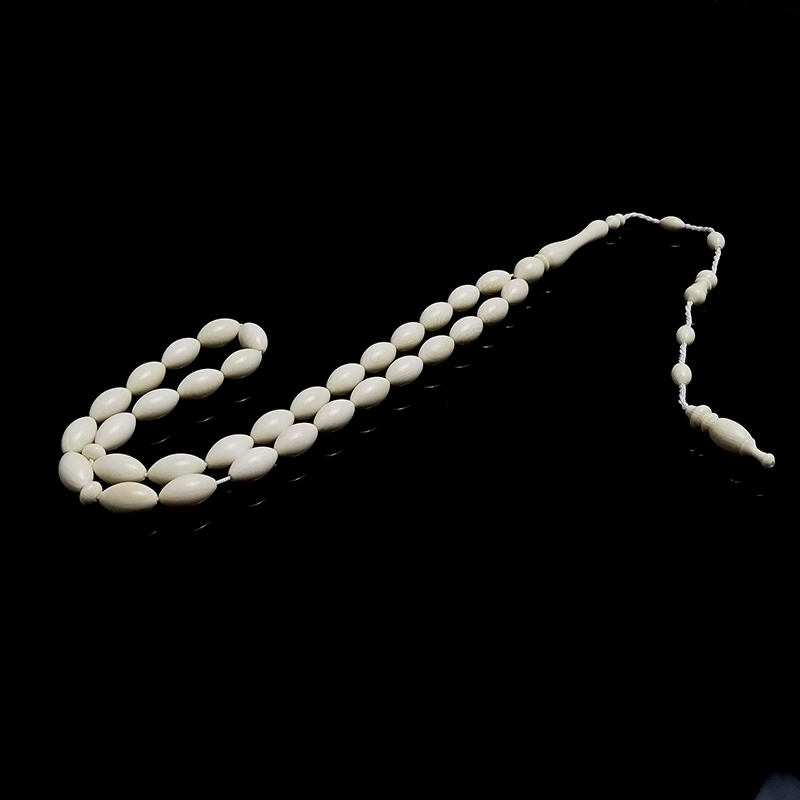 Beyzi Kesim Fosil D. Tesbih 