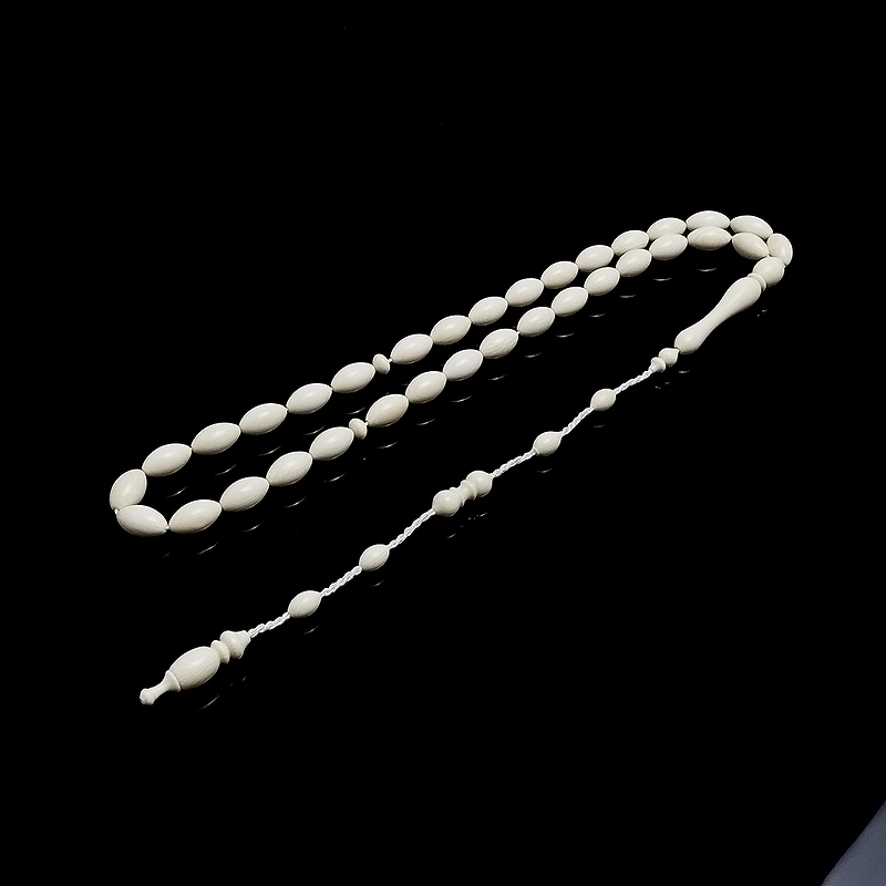 Beyzi Kesim Fosil D. Tesbih 