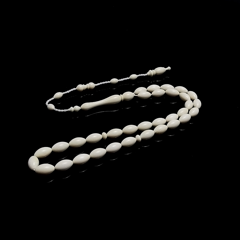 Beyzi Kesim Fosil D. Tesbih 